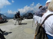 trekking alle tre cime (82/88)